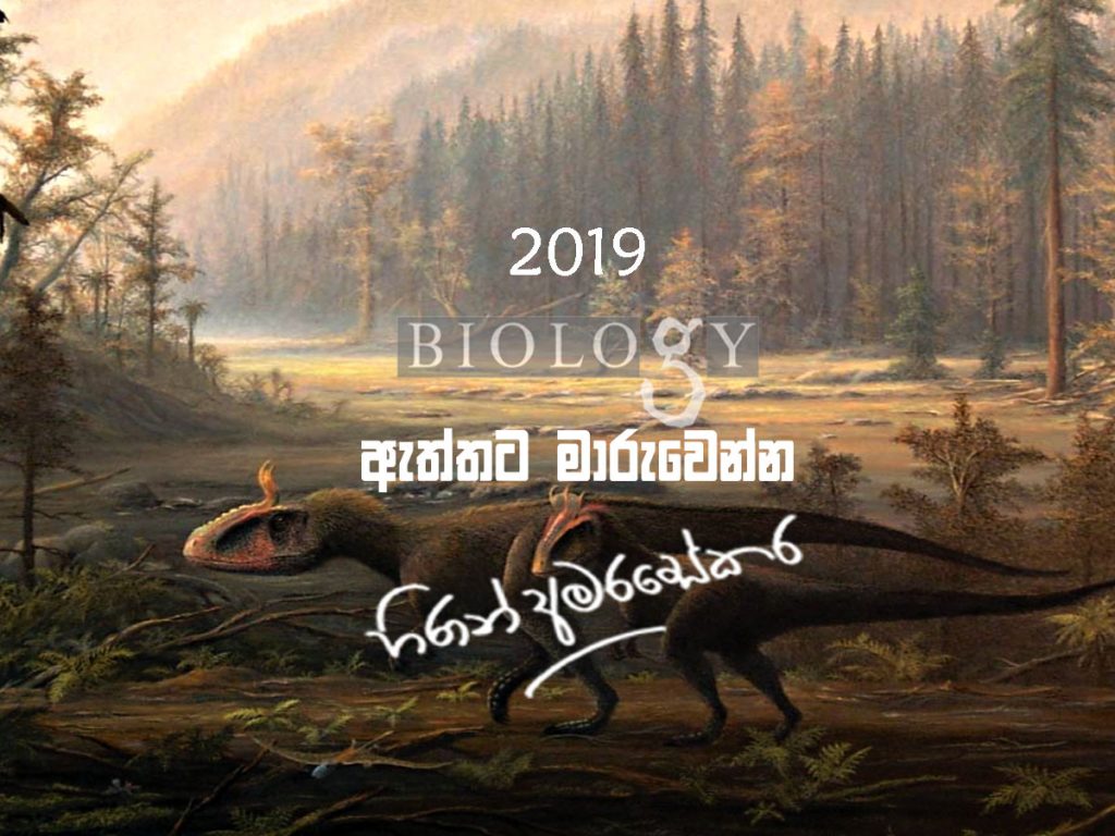2019-Hiran-Amarasekera