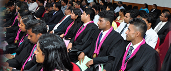 What’s the difference between Special Degrees and Honours Degrees?