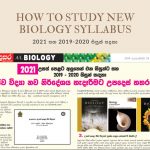 2021-biology new syllabus-advice