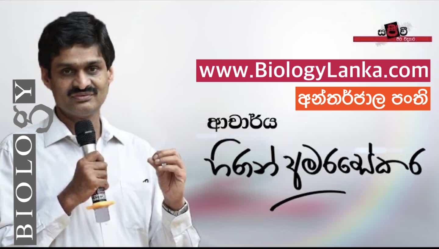 www.biologylanka.com Dr Hiran Amarasekera’s A/L Biology online learning platform