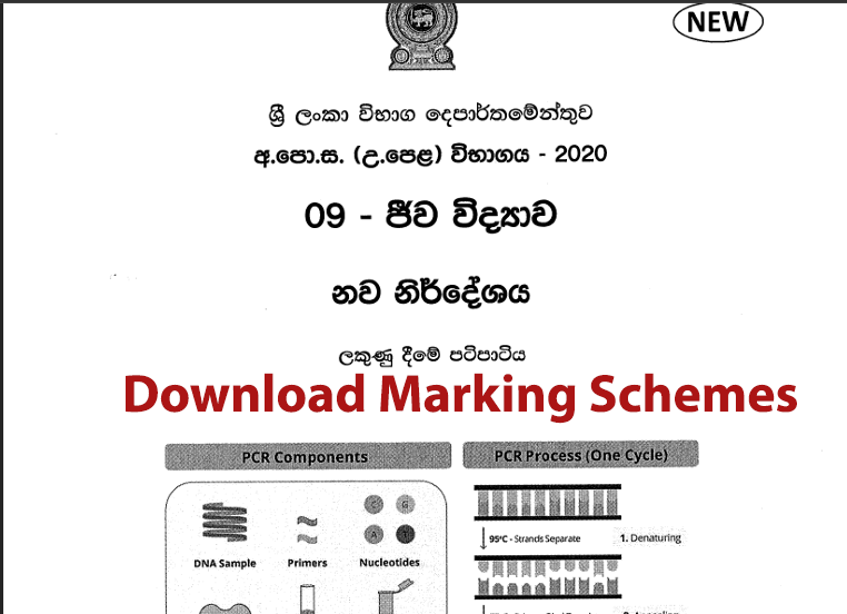 Download 2020 A/L Past Papers and Marking schemes for Science, Maths, Commerce, Art and Technology subjects