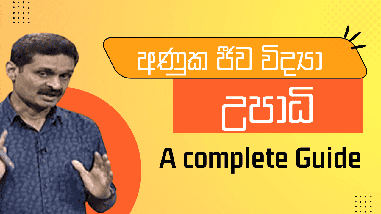 Molecular Biology Degree Programs in Sri Lankan Universities – A complete guide